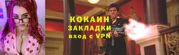 шишки Бронницы