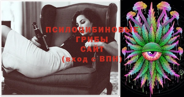 шишки Бронницы