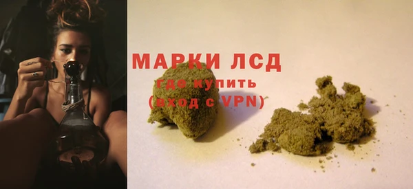 шишки Бронницы