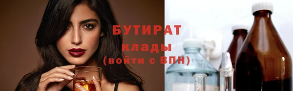твердый Бородино