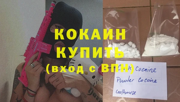 твердый Бородино