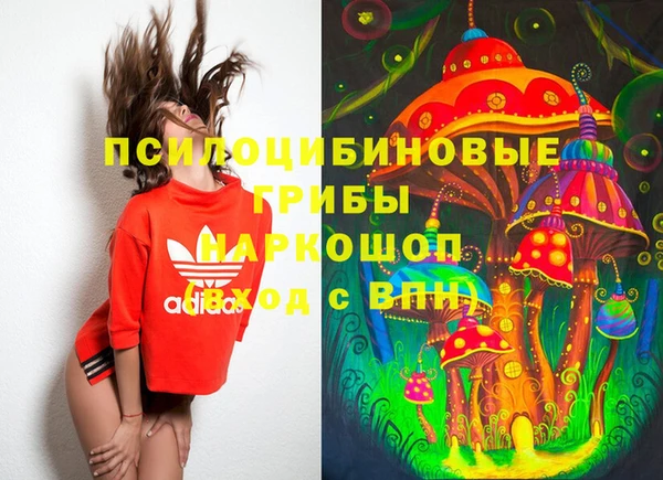 шишки Бронницы