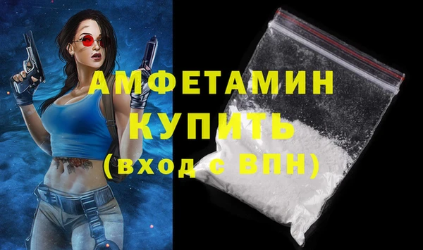 твердый Бородино