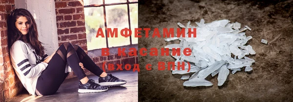твердый Бородино