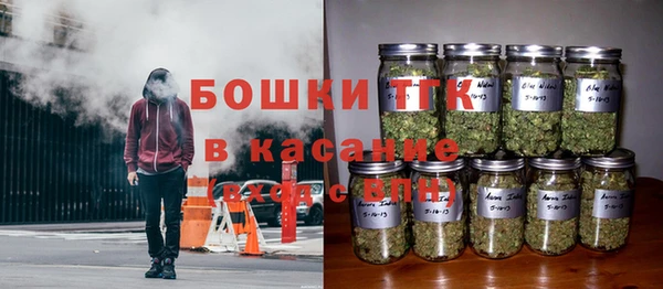 шишки Бронницы