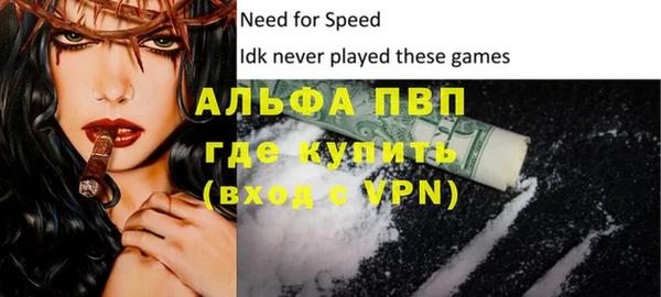 твердый Бородино