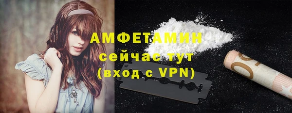 твердый Бородино