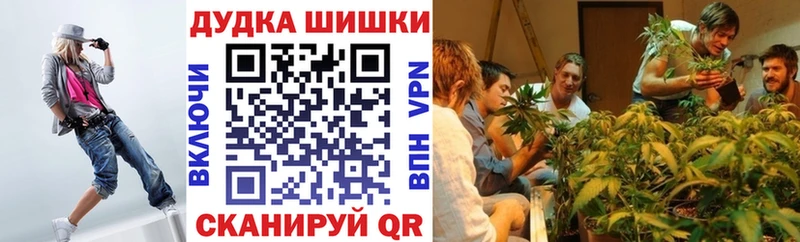 Каннабис семена  Купить где  Сланцы 